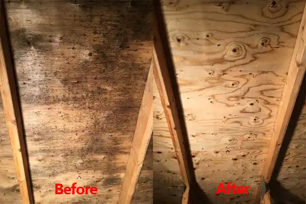 water damage restoration service Loma Linda